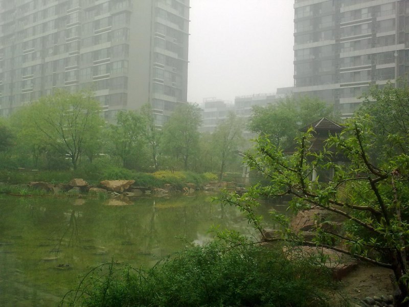 北京富力城B区图片