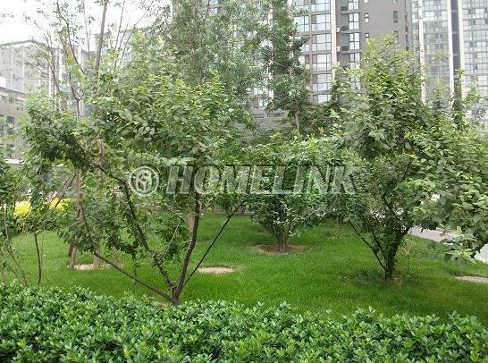 北京美景东方图片