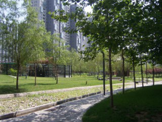 北京苹果社区图片