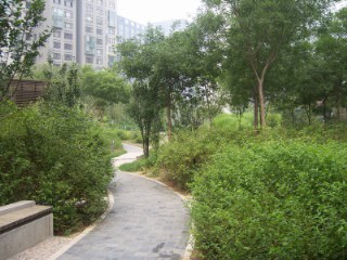 北京苹果社区图片