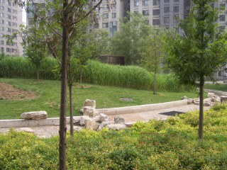 北京苹果社区图片