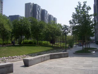 北京苹果社区图片