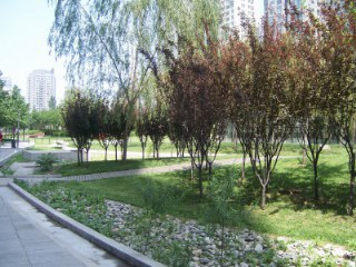 北京苹果社区图片