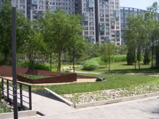 北京苹果社区图片