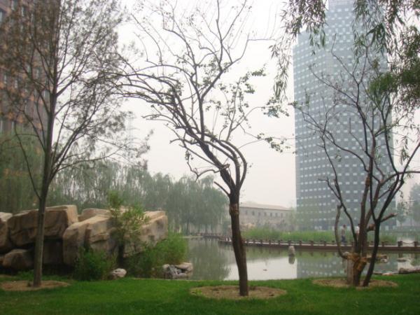 北京万国城MOMA图片