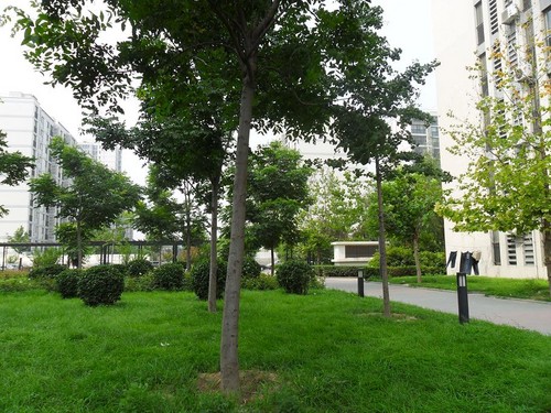 北京北京新天地图片