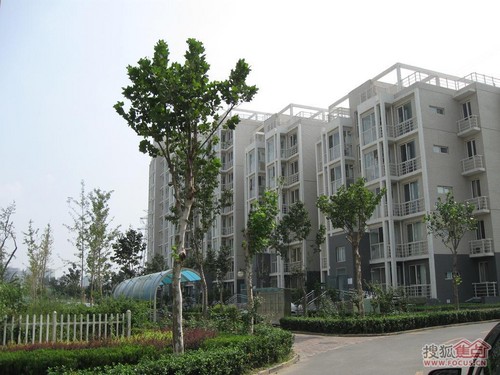 北京新龙城图片