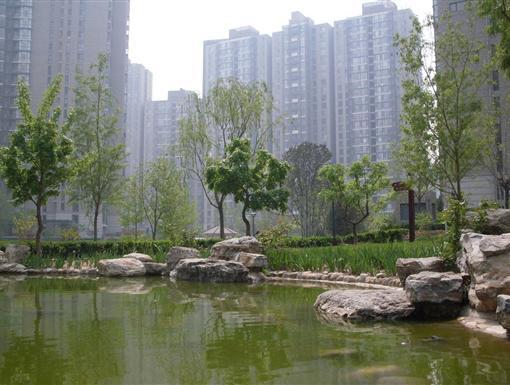 北京观湖国际图片