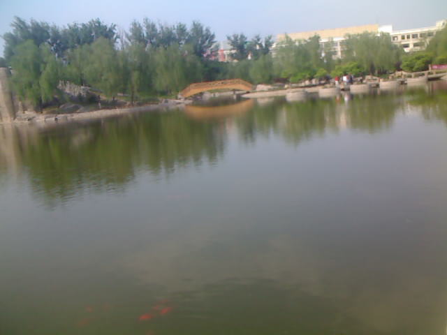 北京天通苑东一区图片