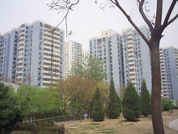 北京南湖东园一区图片