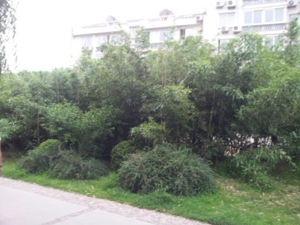 北京龙泽苑西区图片