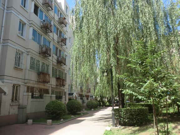 北京龙泽苑西区图片