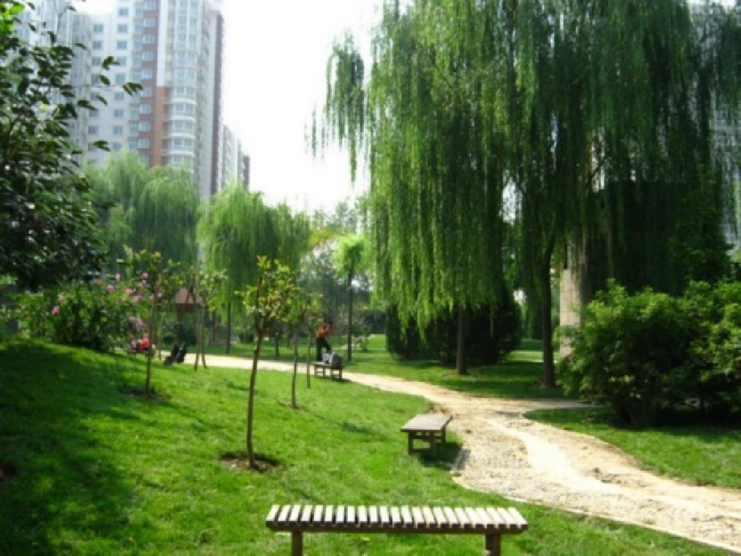 北京芍药居北里图片