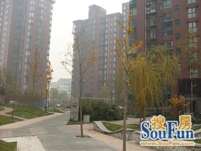 北京金汉绿港图片