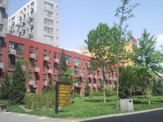 北京苹果派图片