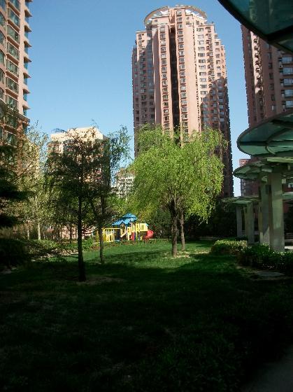 北京朝阳园图片