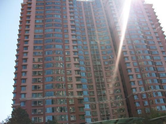 北京朝阳园图片