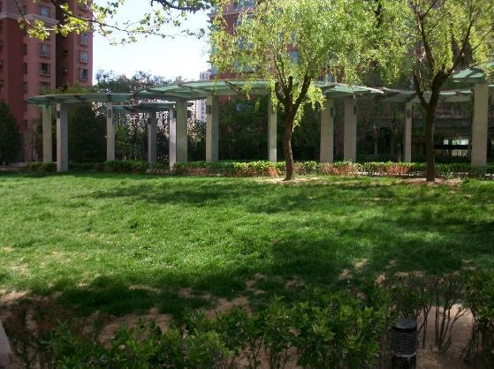 北京朝阳园图片