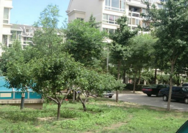 北京龙泽苑西区图片