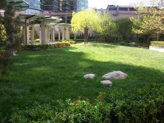 北京朝阳园图片