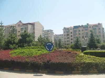 北京樱花园二区图片