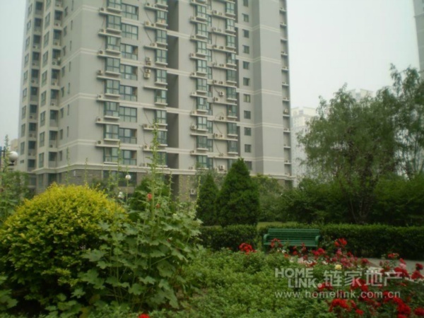 北京北苑家园茉藜园图片