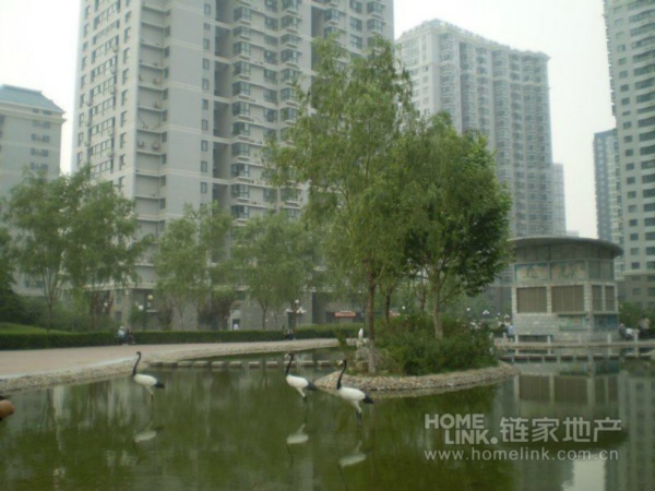 北京北苑家园茉藜园图片