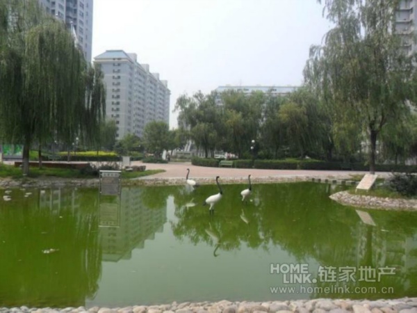 北京北苑家园茉藜园图片