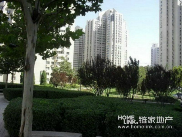 北京望京新城图片