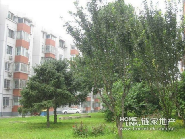 北京上地东里图片