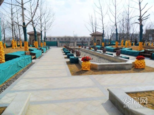 北京金汉绿港图片