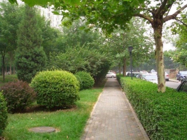 北京北苑家园清友园图片