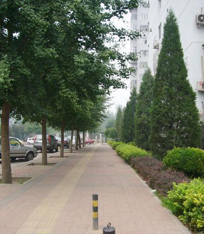 北京北苑家园清友园图片