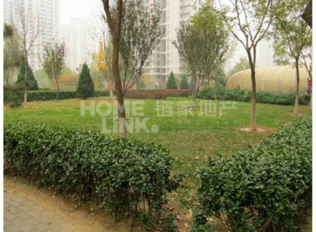 北京北苑家园茉藜园图片