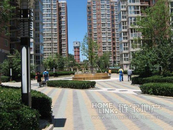 北京新城阳光图片