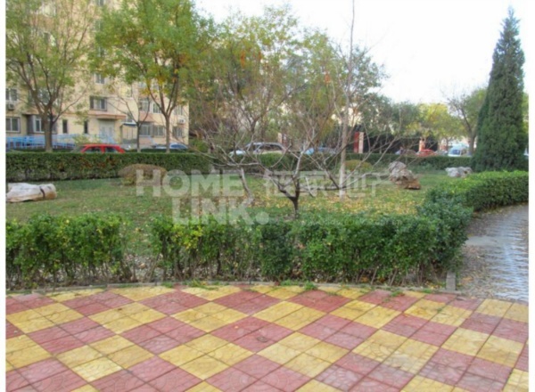 北京北苑家园绣菊园图片