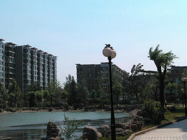 北京世纪城二期图片