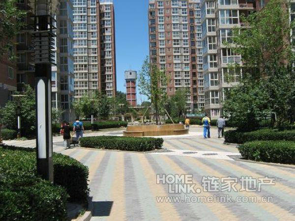 北京新城阳光图片