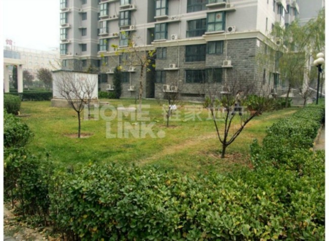 北京北苑家园茉藜园图片