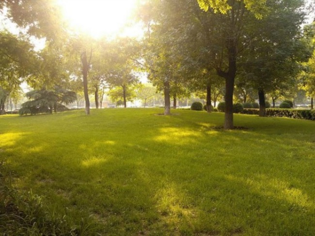 北京世纪城三期图片