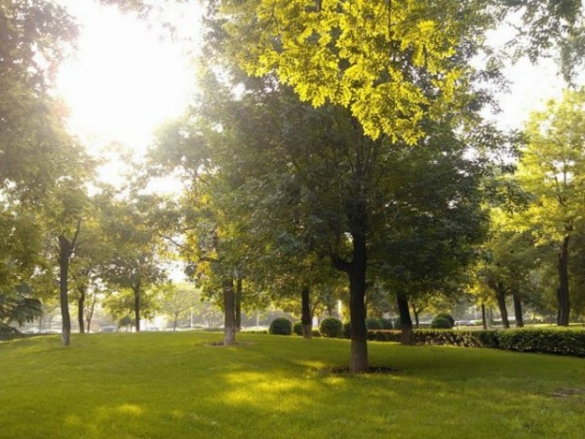 北京世纪城三期图片