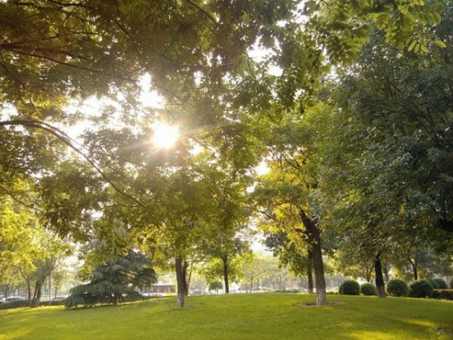 北京世纪城三期图片