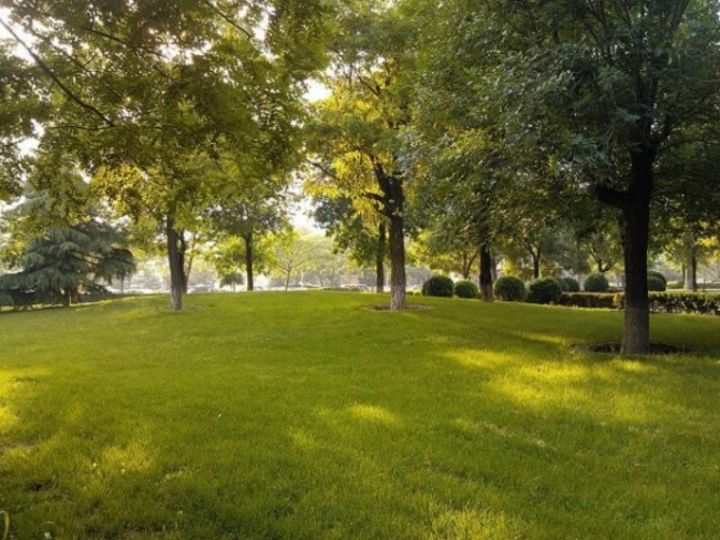 北京世纪城三期图片