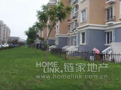 北京旗舰凯旋图片