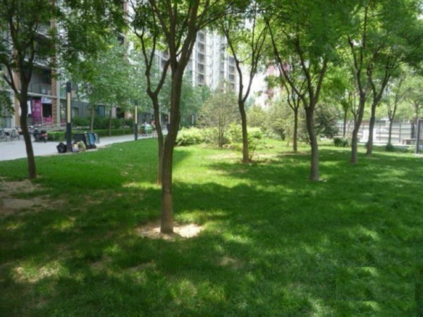 北京后现代城图片