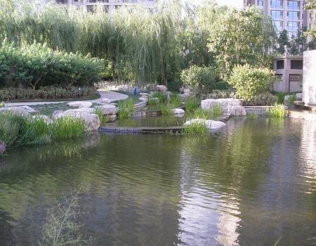 北京泛海国际樱海园图片