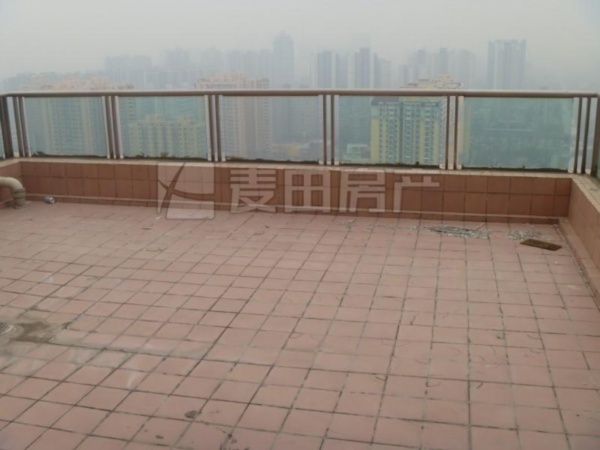 北京朝阳园图片