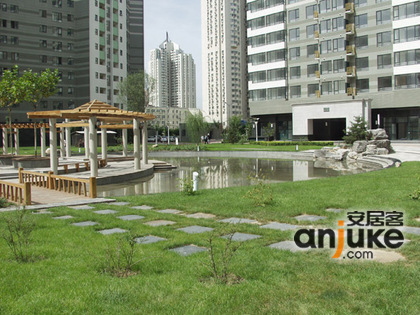 北京望京西园三区图片