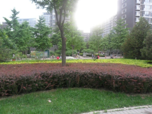 北京国风北京图片