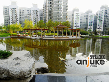 北京望京西园三区图片